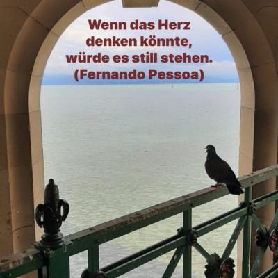 2a46f2f7 Ec60 4678 8273 A2f39300a5c9